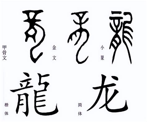 代表龍的字|龍的解释